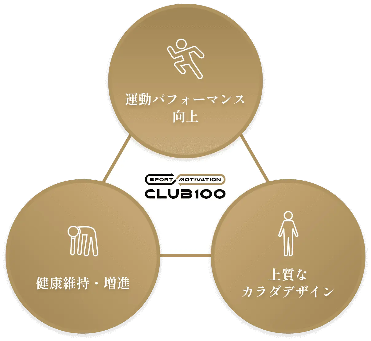 トレーニンググラフ